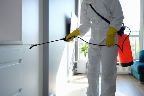 Best Attic Mold Remediation in Bushnell, IL