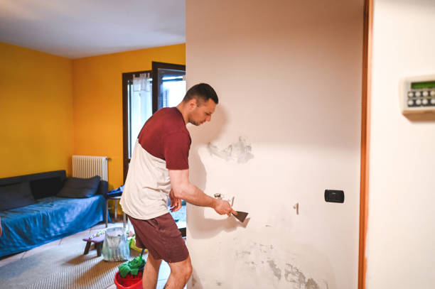 Best Black Mold Remediation in Bushnell, IL